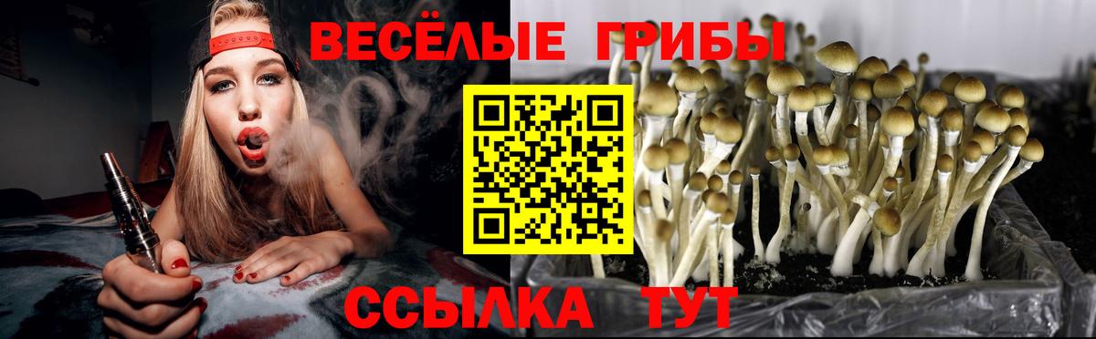 Галлюциногенные грибы MAGIC MUSHROOMS  Вход с VPN  Конаково 